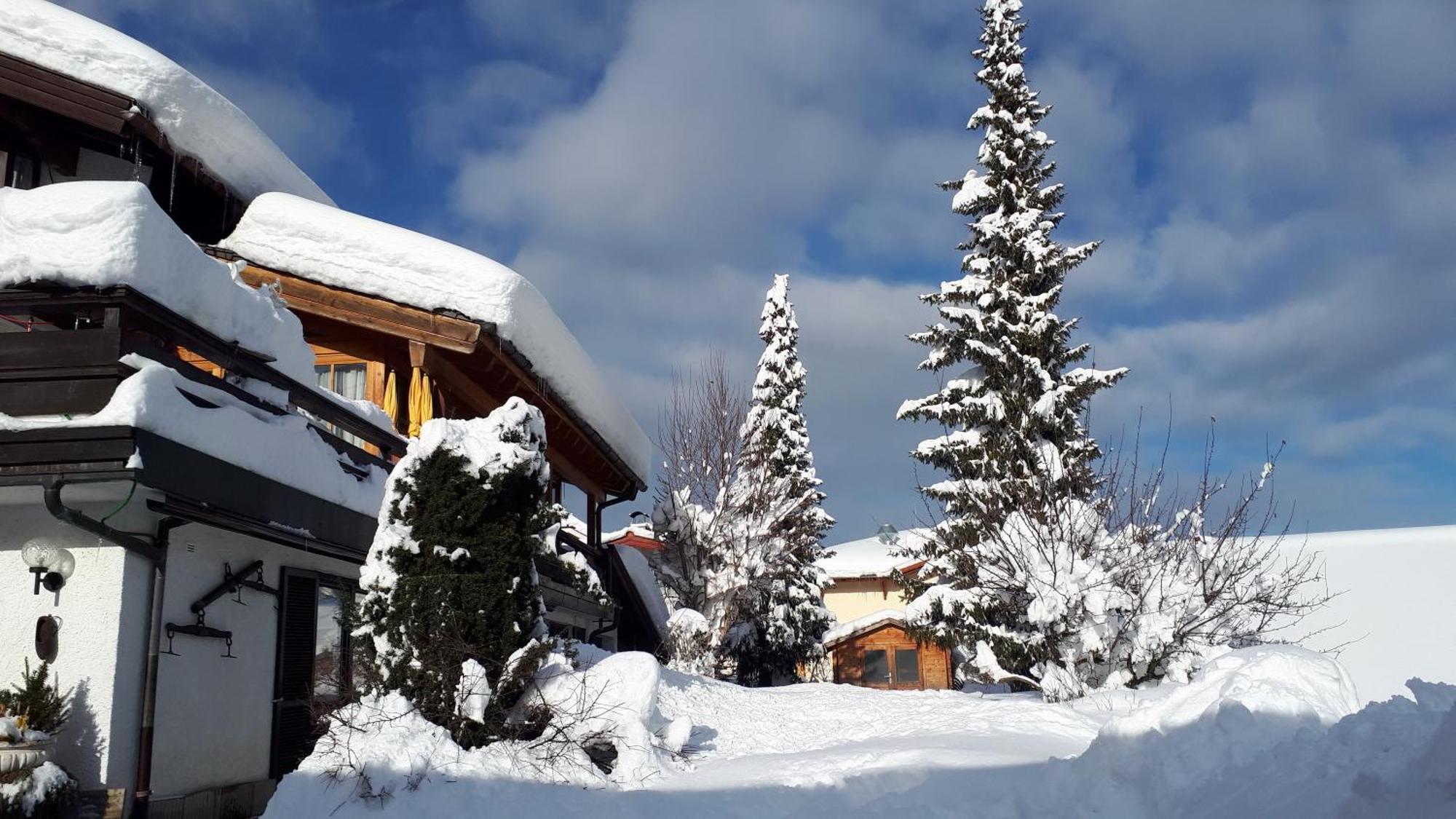 Hotel - Pension - Heidelberg Inkl. Chiemgaukarte Руполдинг Екстериор снимка